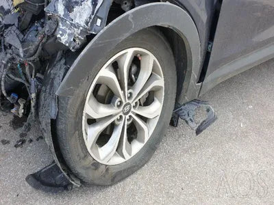 2015 Hyundai Santa FE KMHSW81XDFU418422 VIN:KMHSW81XDFU418422