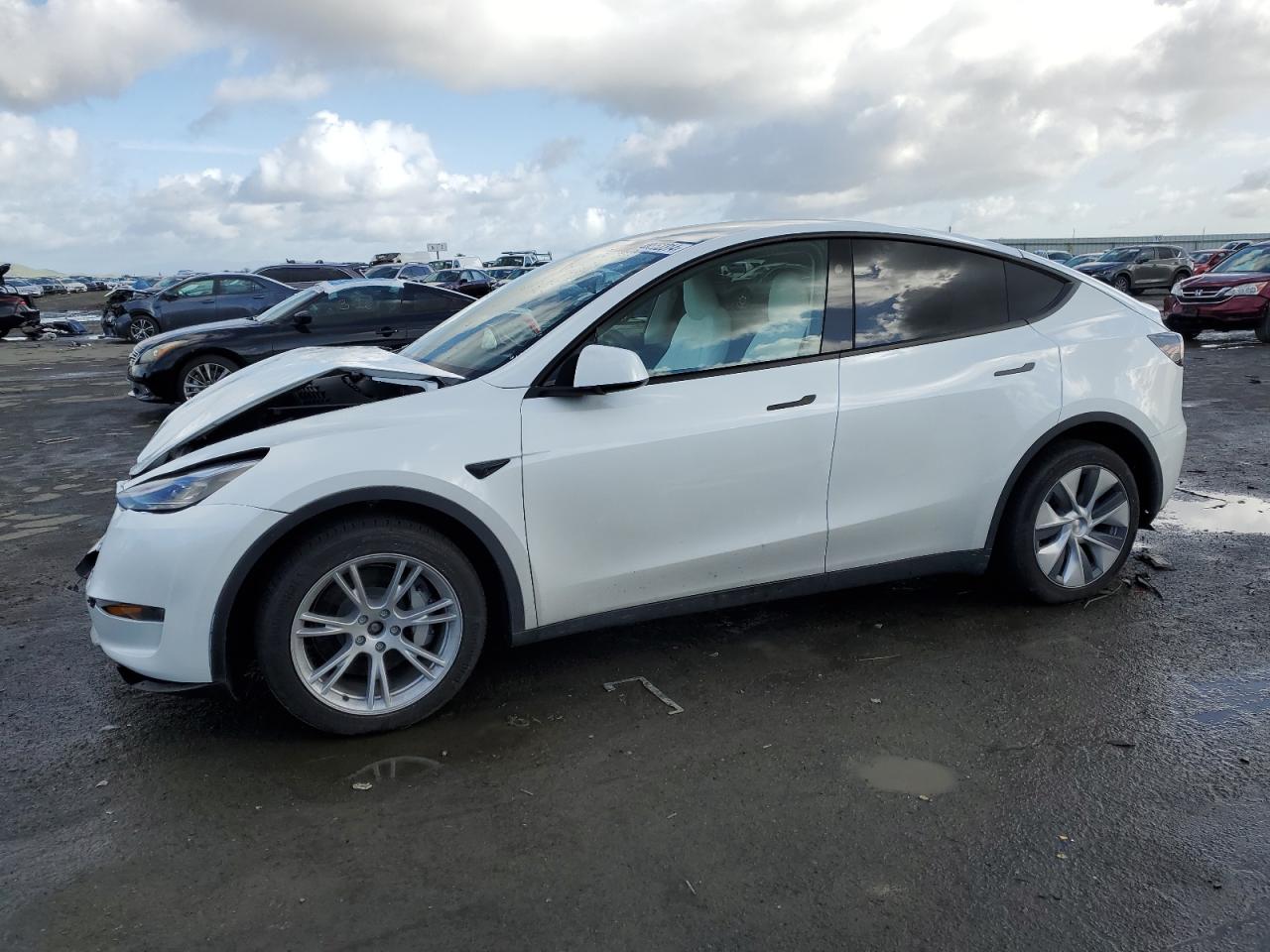 2023 TESLA MODEL Y  VIN:7SAYGDEE4PF925311