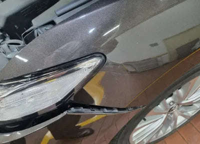 2019 Toyota Camry JTNB21HKXK3019523 VIN:JTNB21HKXK3019523