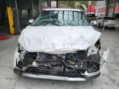 2021 Kia Carnival KNANC81BBMS128216 VIN:KNANC81BBMS128216