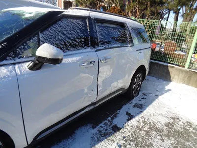 2020 Kia Carnival KNANE81BBMS010172 VIN:KNANE81BBMS010172