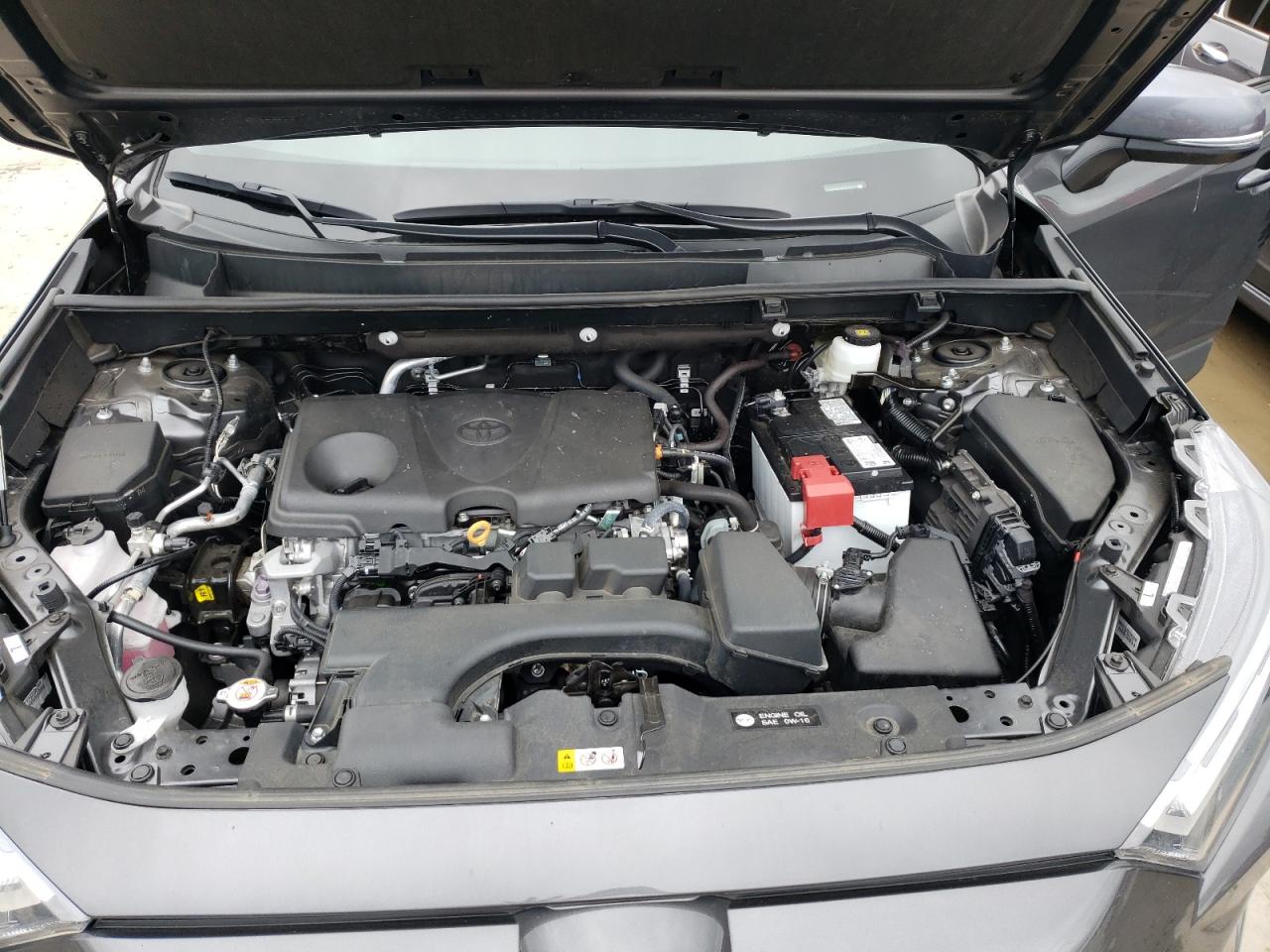 2023 TOYOTA RAV4 XLE VIN:2T3W1RFVXPW246123