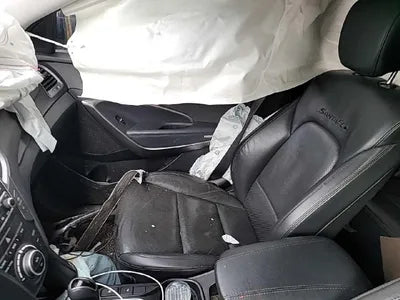 2016 Hyundai Santa FE KMHSW81XDGU665677 VIN:KMHSW81XDGU665677