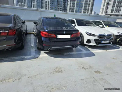 2020 BMW 520 WBAJF310XLWW54506 VIN:WBAJF310XLWW54506