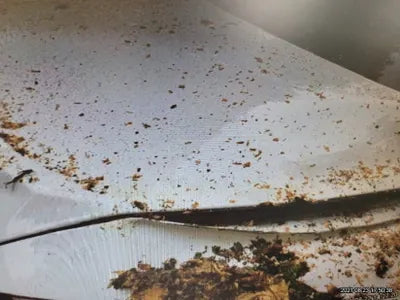 2018 Mercedes-Benz C 200 WDDWF3HB2JR344044 VIN:WDDWF3HB2JR344044