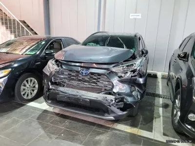 2019 Toyota RAV4 JTMDWRFV4KD030718 VIN:JTMDWRFV4KD030718