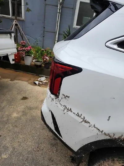 2021 Kia Sorento VIN: