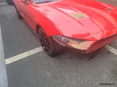 2019 Ford Mustang 1FA6P8TH0K5128076 VIN:1FA6P8TH0K5128076