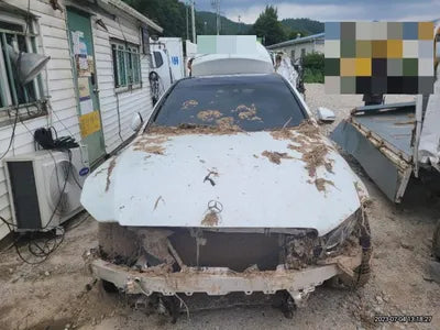 2019 Mercedes-Benz E 300 377KMWDDZF4KB2KA6 VIN:377KMWDDZF4KB2KA6