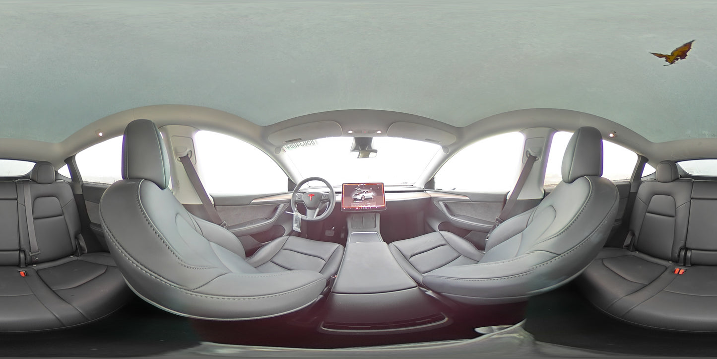 2023 TESLA MODEL Y  VIN:7SAYGDEE5PF813889