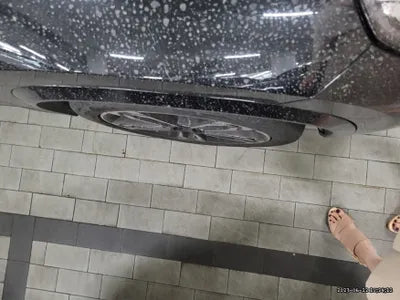 2023 BMW X1 WBA41EE03P5W36653 VIN:WBA41EE03P5W36653