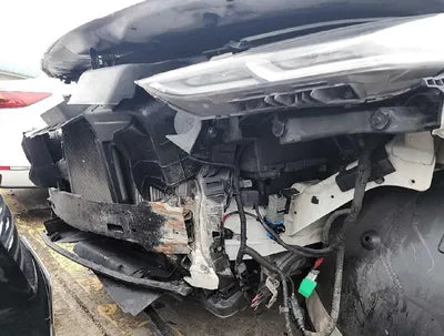 2019 Hyundai Santa FE KMHS281BBKU006337 VIN:KMHS281BBKU006337