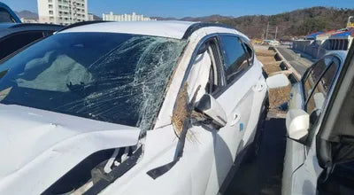 2021 Hyundai Tucson KMHJE811BMU009800 VIN:KMHJE811BMU009800