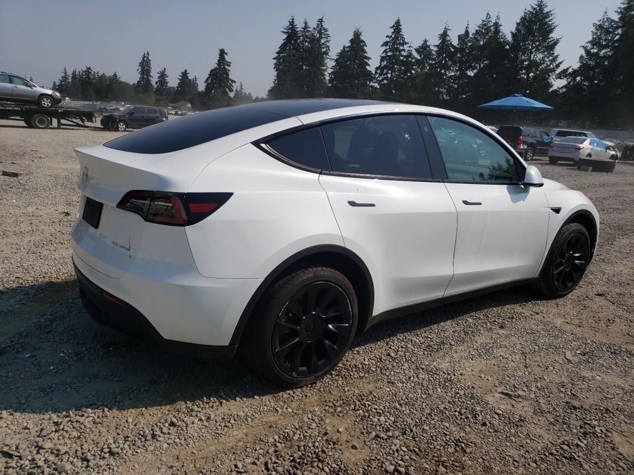 2023 TESLA MODEL Y  VIN:7SAYGDEE2PF626450