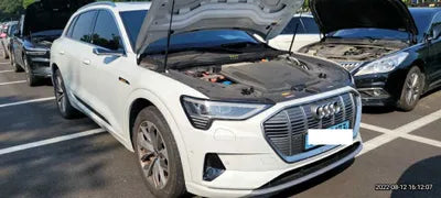 2020 Audi e-tron WAUZZZGE6LB029155 VIN:WAUZZZGE6LB029155