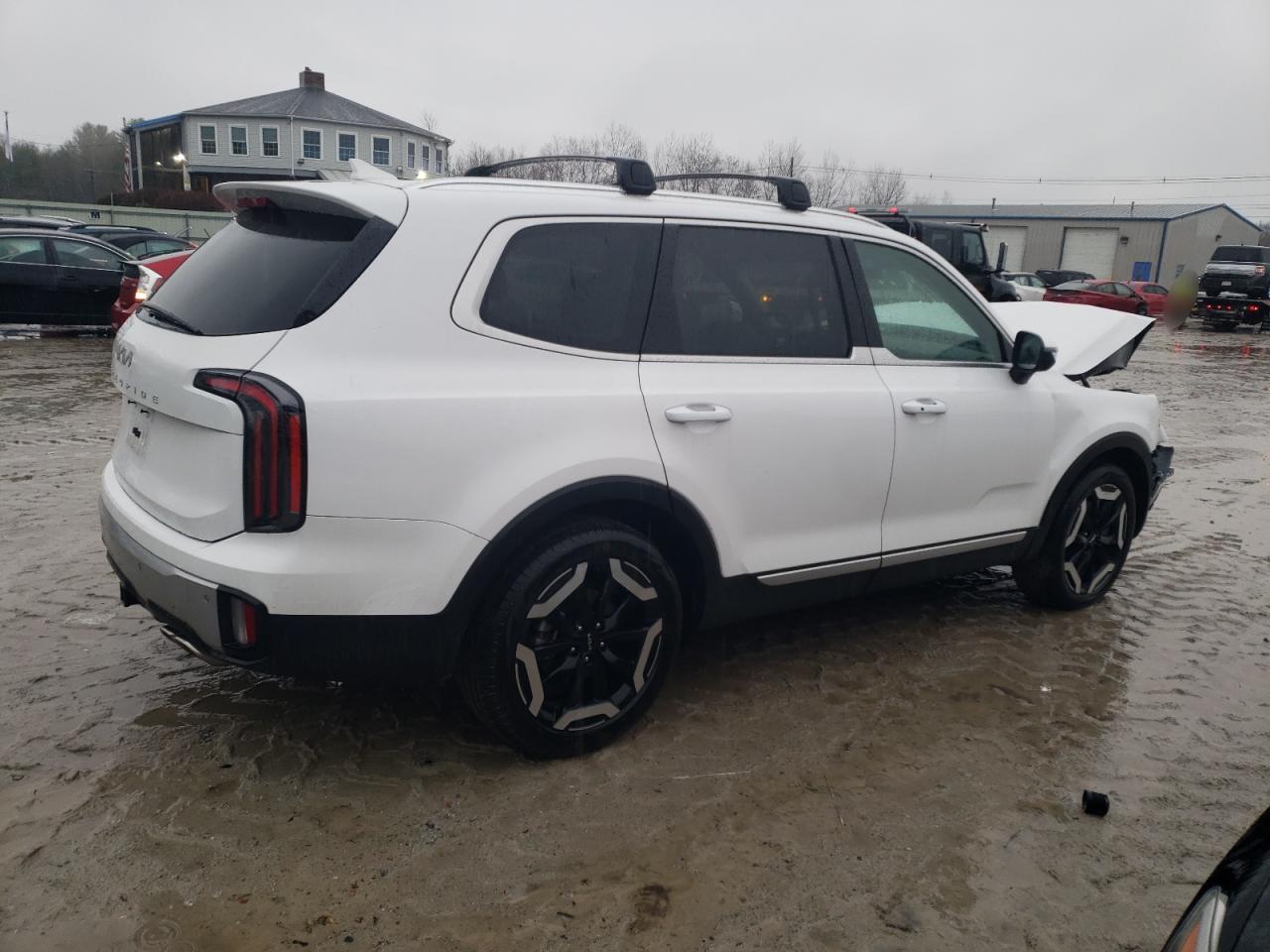 2024 KIA TELLURIDE EX VIN:5XYP34GCXRG487275