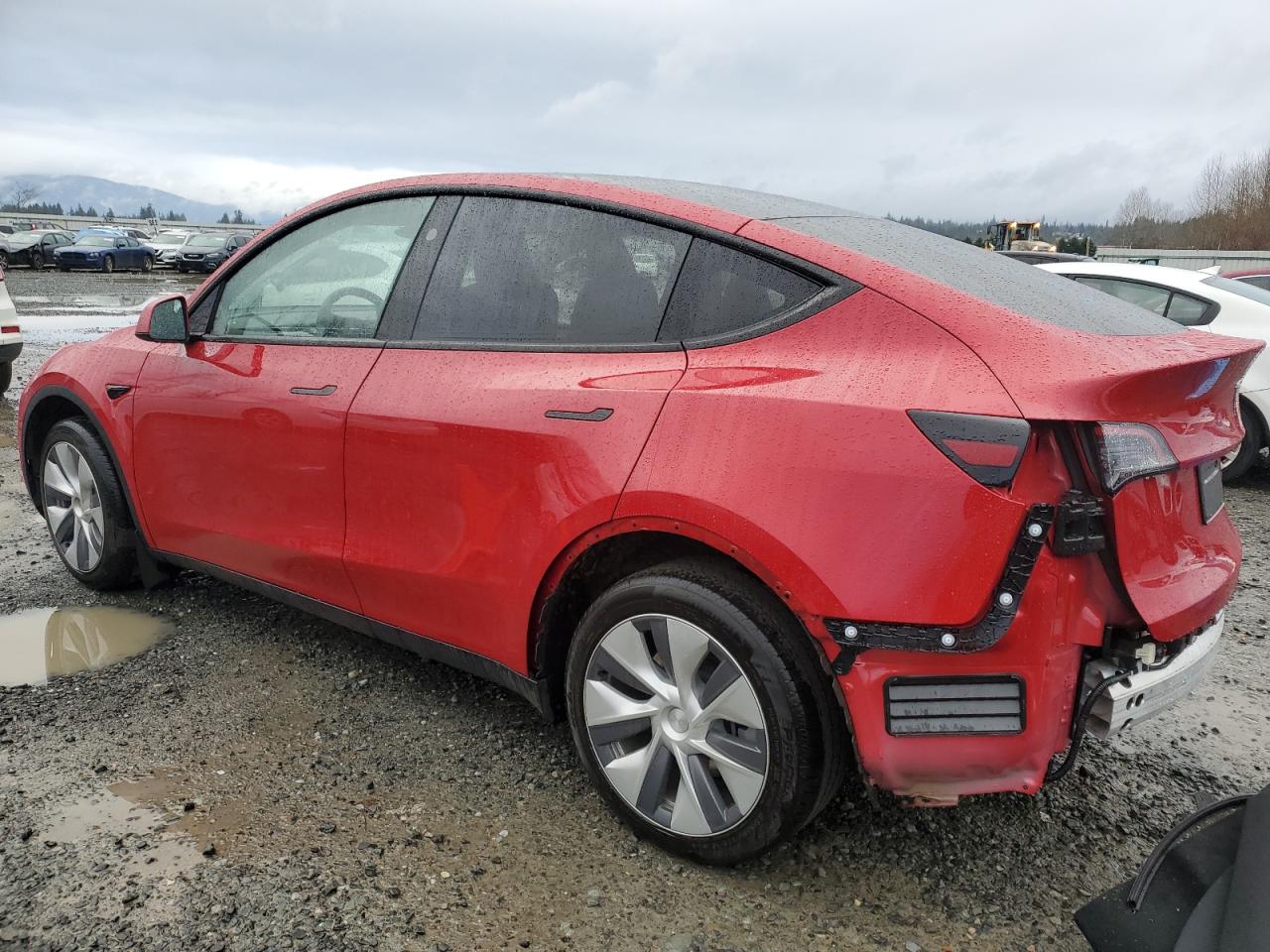 2023 TESLA MODEL Y VIN:7SAYGDEE9PF860875