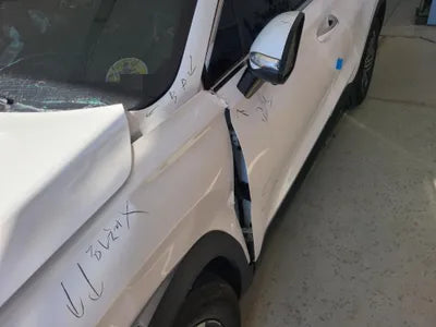 2021 Hyundai Santa FE KMHS281HGMU398339 VIN:KMHS281HGMU398339
