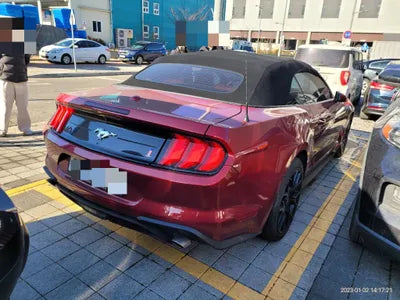 2019 Ford Mustang 1FATP8UH3K5196891 VIN:1FATP8UH3K5196891
