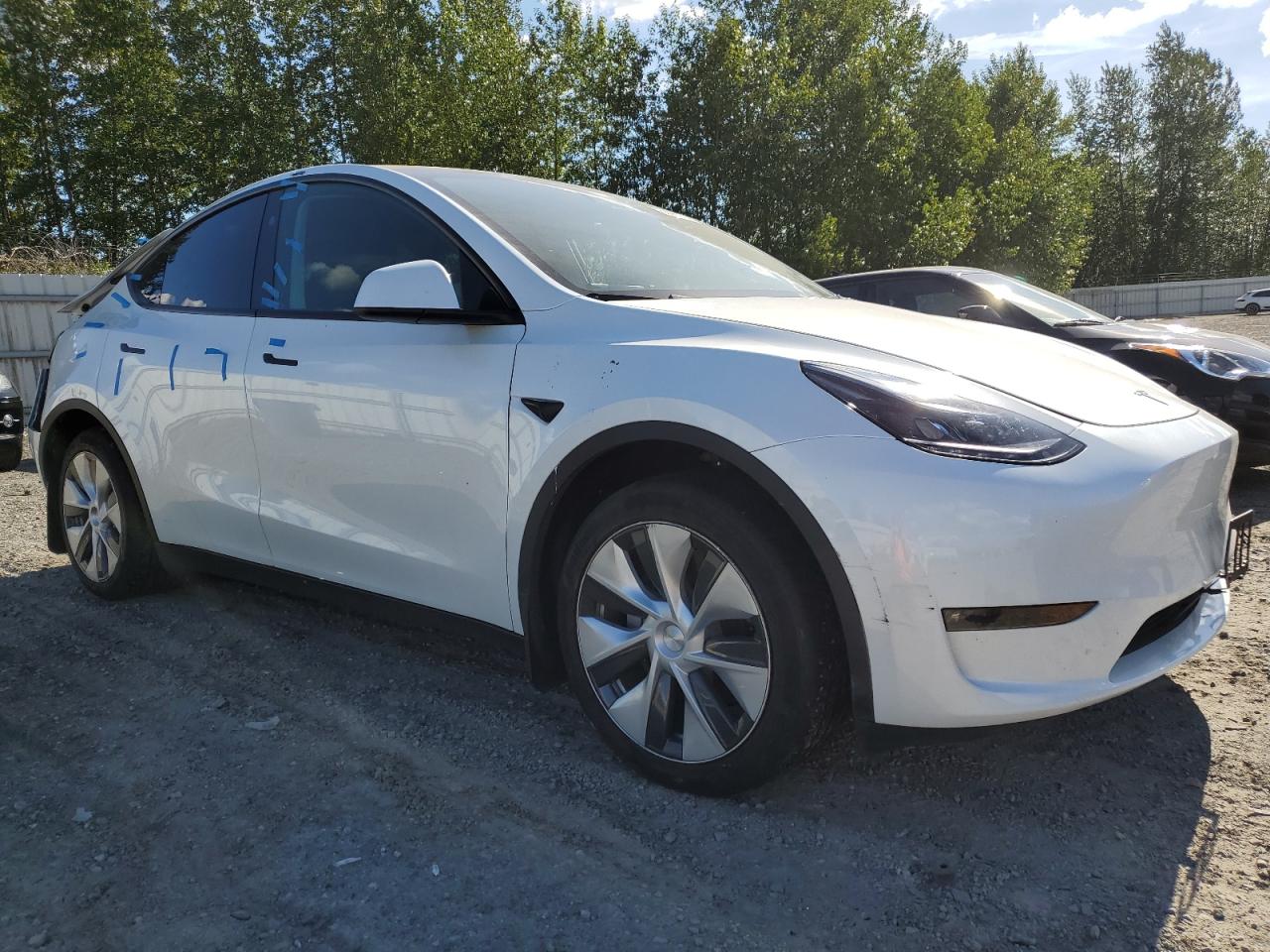 2023 TESLA MODEL Y  VIN:7SAYGAEE1PF835421