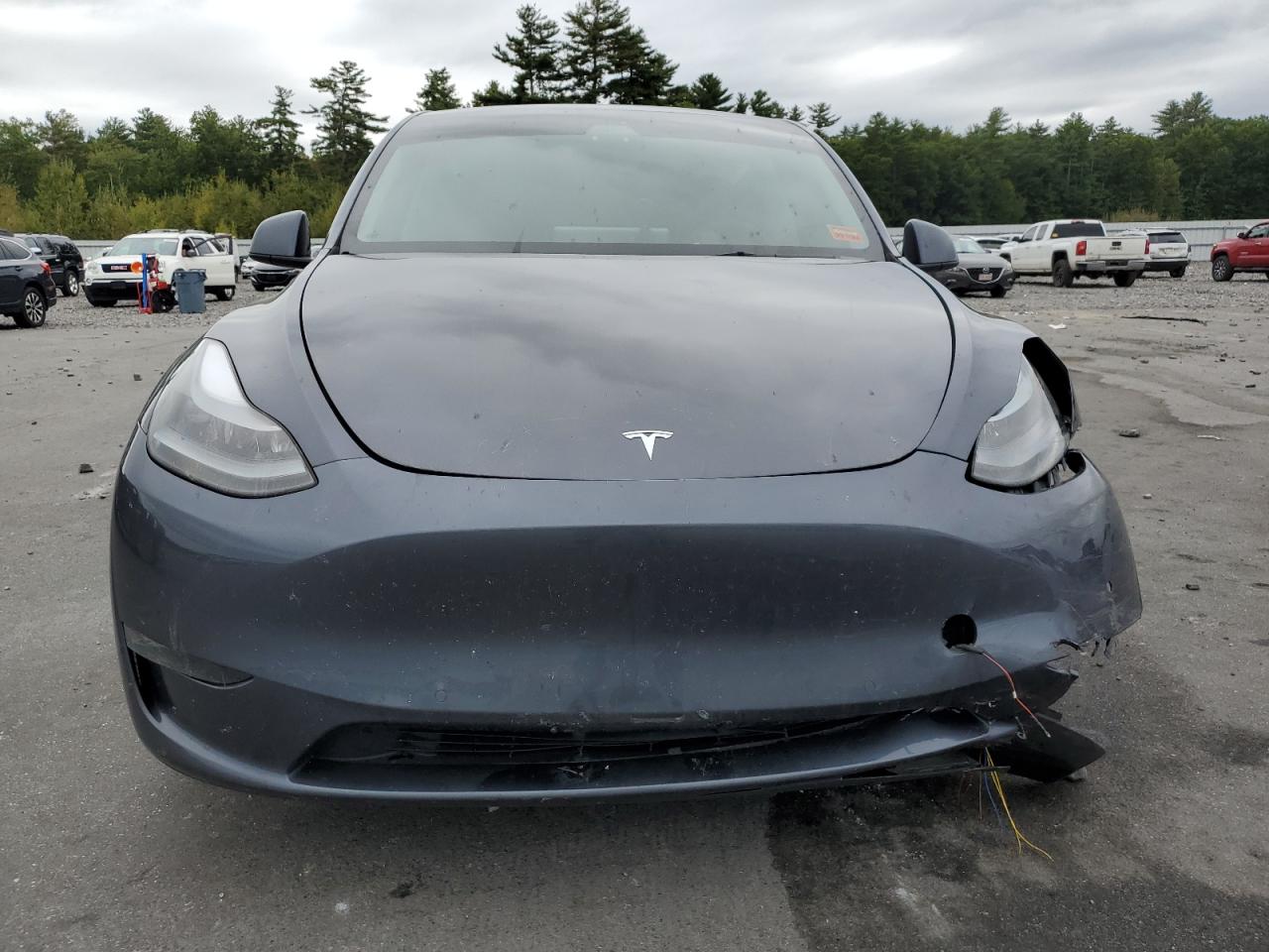 2022 TESLA MODEL Y  VIN:7SAYGDEF1NF398639