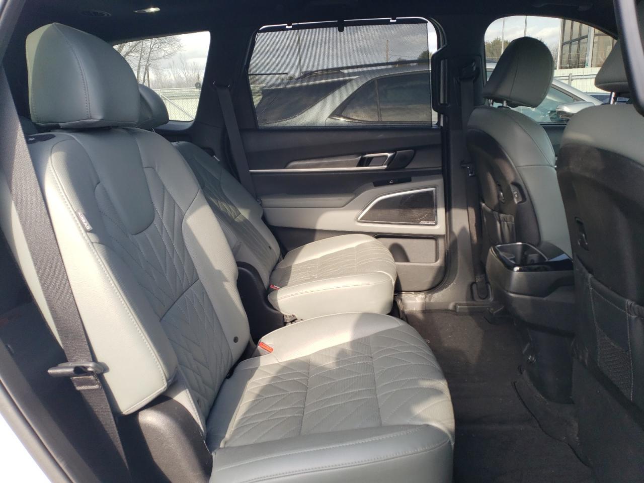 2023 KIA TELLURIDE SX VIN:5XYP5DGC9PG333549