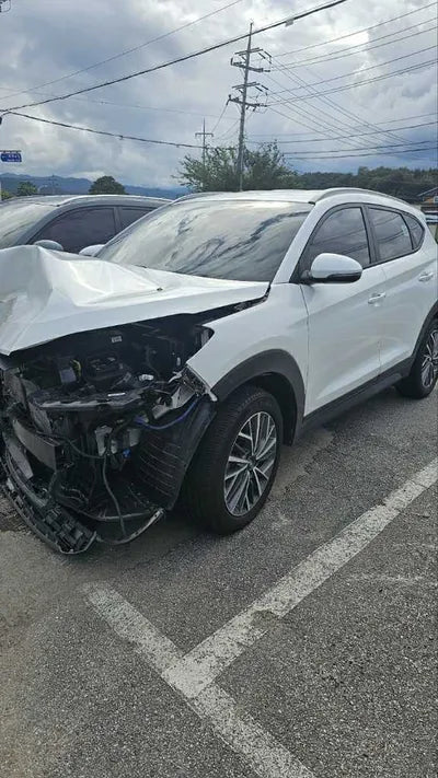 2019 Hyundai Tucson KMHJ581ADKU058096 VIN:KMHJ581ADKU058096
