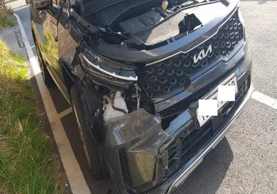 2023 Kia Sorento KNARH81FGPA182937 VIN:KNARH81FGPA182937