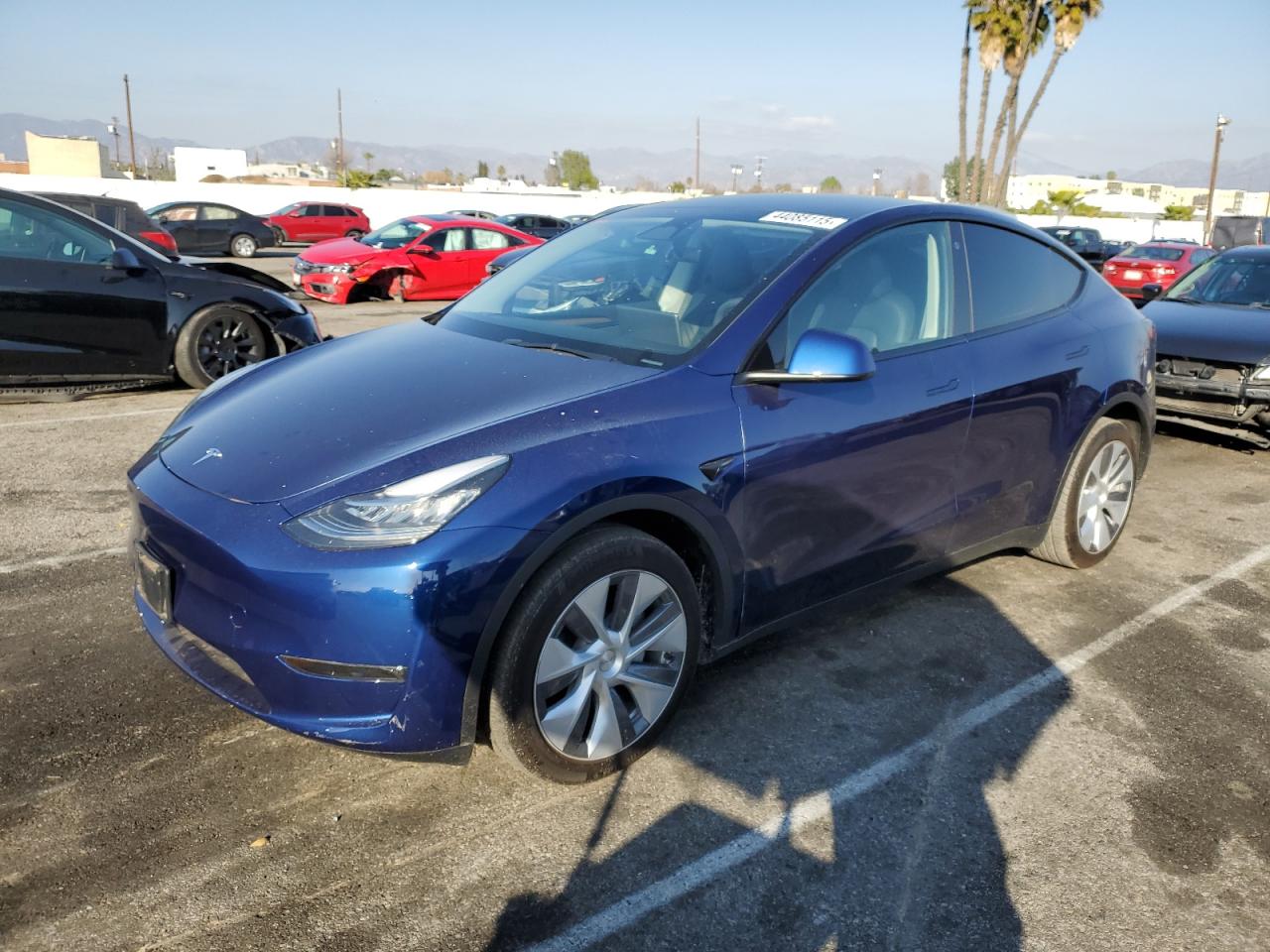 2023 TESLA MODEL Y  VIN:7SAYGDEE7PA095307