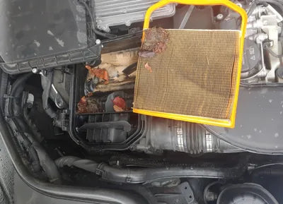 2020 Mercedes-Benz S 450 W1KUG6EB0LA530273 VIN:W1KUG6EB0LA530273