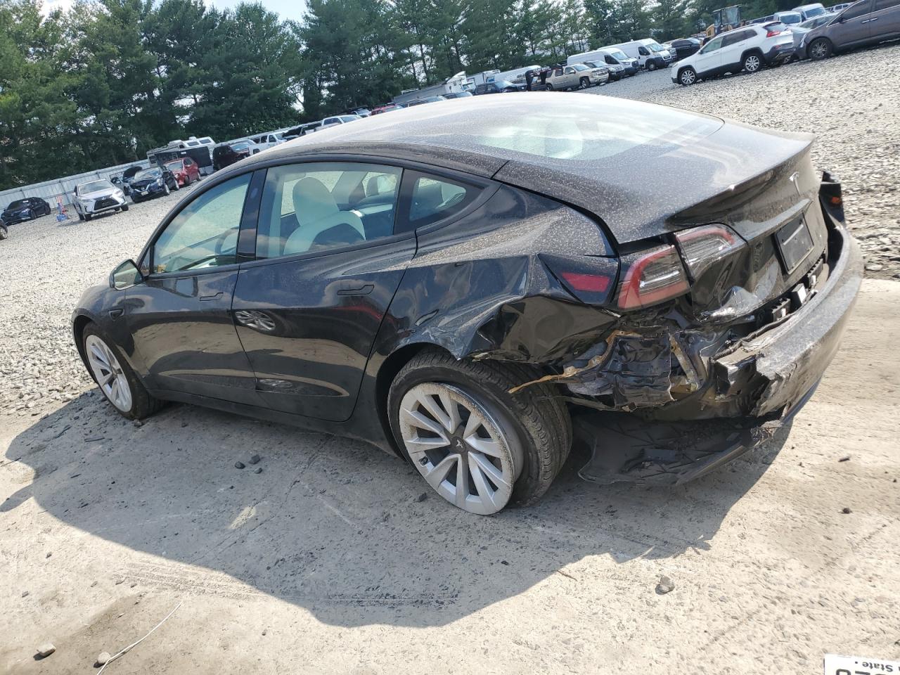 2023 TESLA MODEL 3  VIN:5YJ3E1EAXPF549903