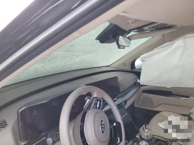 2021 Kia Carnival KNANE813BMS088736 VIN:KNANE813BMS088736