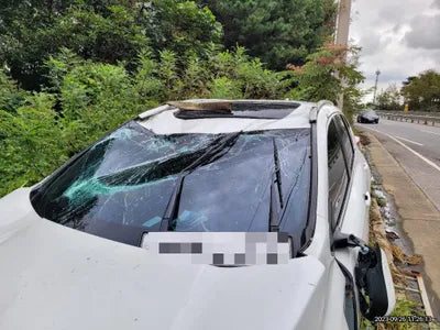 2019 Honda CR-V VIN: