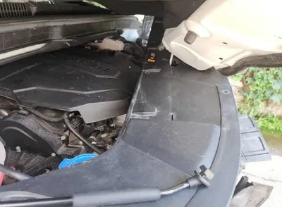 2021 Kia Carnival KNANE81BBMS067853 VIN:KNANE81BBMS067853