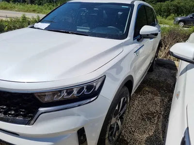 2022 Kia Sorento KNARF81FGNA161865 VIN:KNARF81FGNA161865
