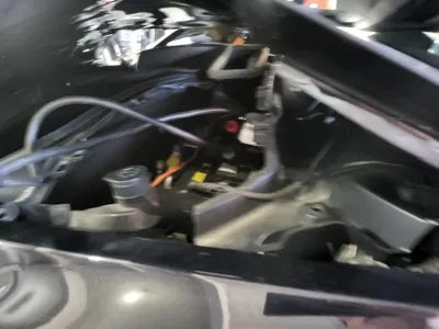 2021 Tesla Model Y 5YJYGDEE0MF176063 VIN:5YJYGDEE0MF176063