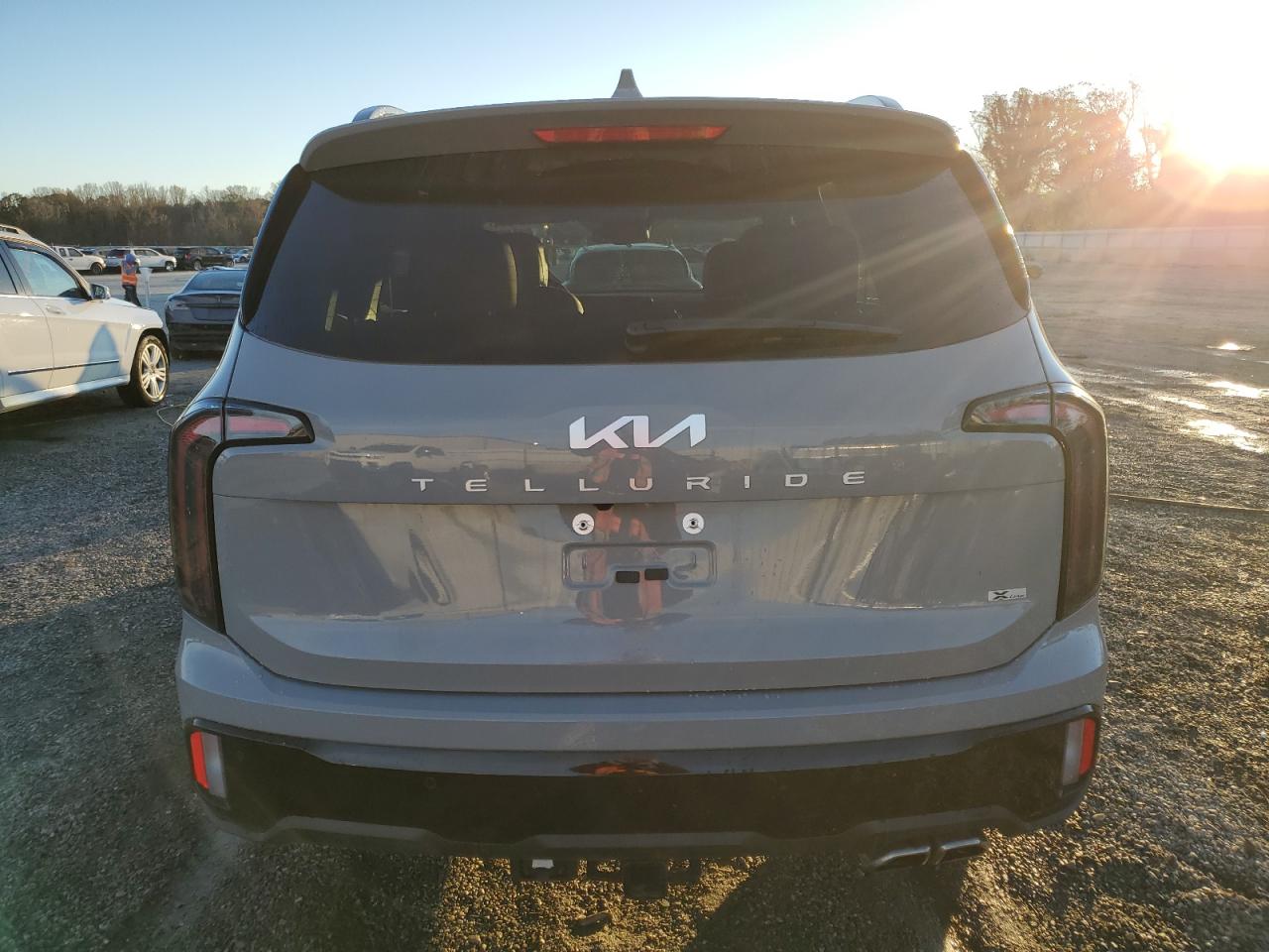 2024 KIA TELLURIDE EX VIN:5XYP3DGC6RG496748