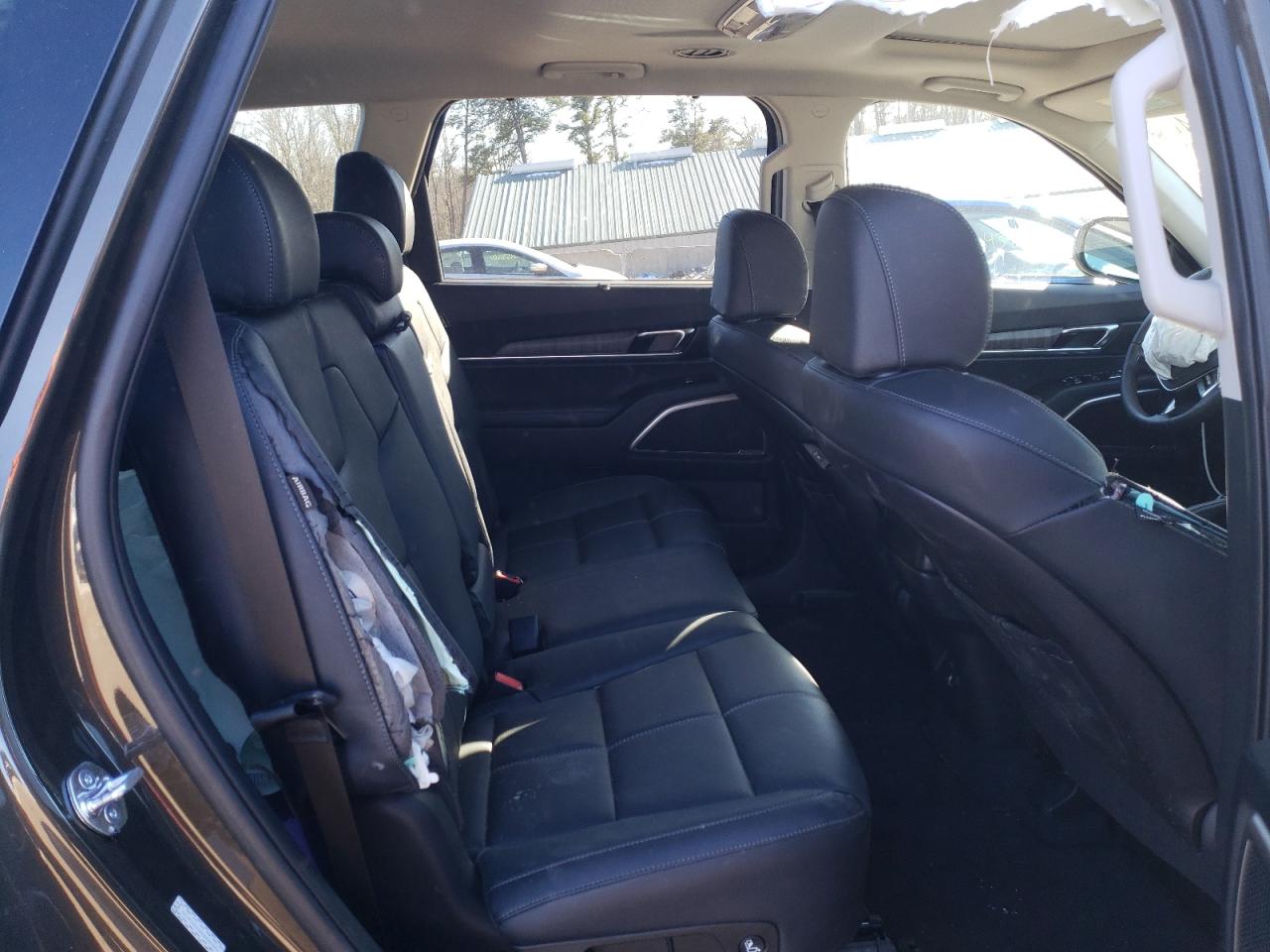 2024 KIA TELLURIDE EX VIN:5XYP3DGC8RG441041