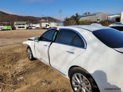 2020 Mercedes-Benz E 220 WDDZF0FB5LA752179 VIN:WDDZF0FB5LA752179