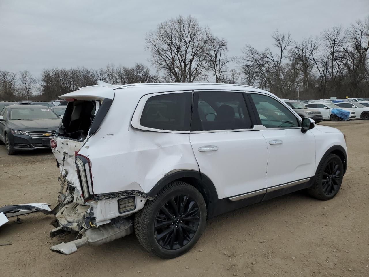 2022 KIA TELLURIDE SX VIN:5XYP5DHC0NG263225