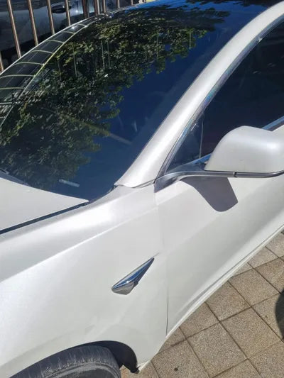2019 Tesla Model 3 5YJ3E1EA4LF585502 VIN:5YJ3E1EA4LF585502