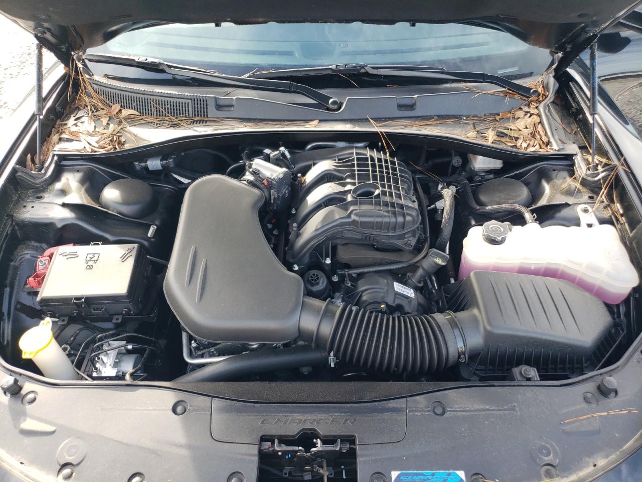 2023 DODGE CHARGER SXT VIN:2C3CDXJG1PH676571