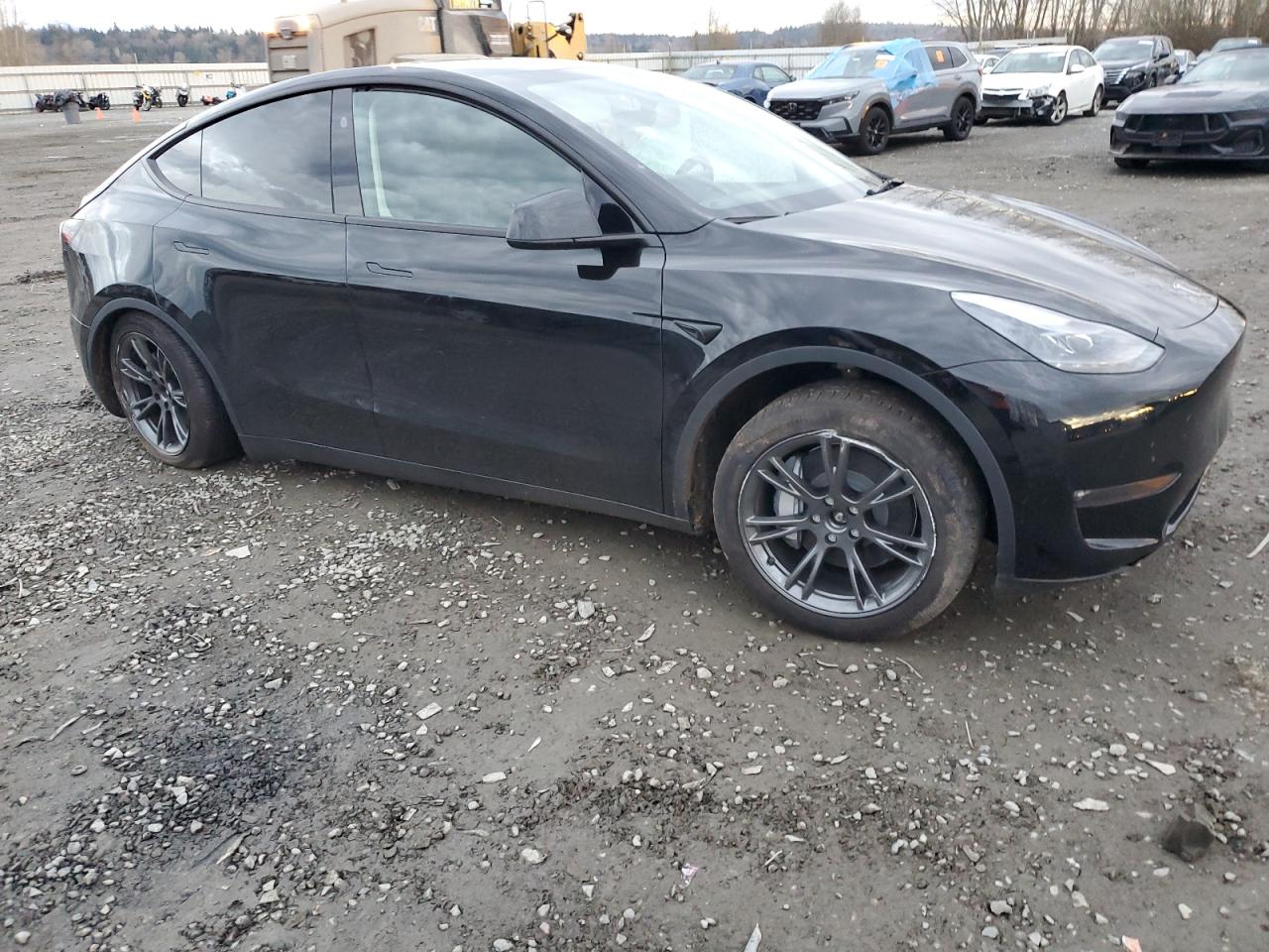 2024 TESLA MODEL Y  VIN:7SAYGAEE8RF116542