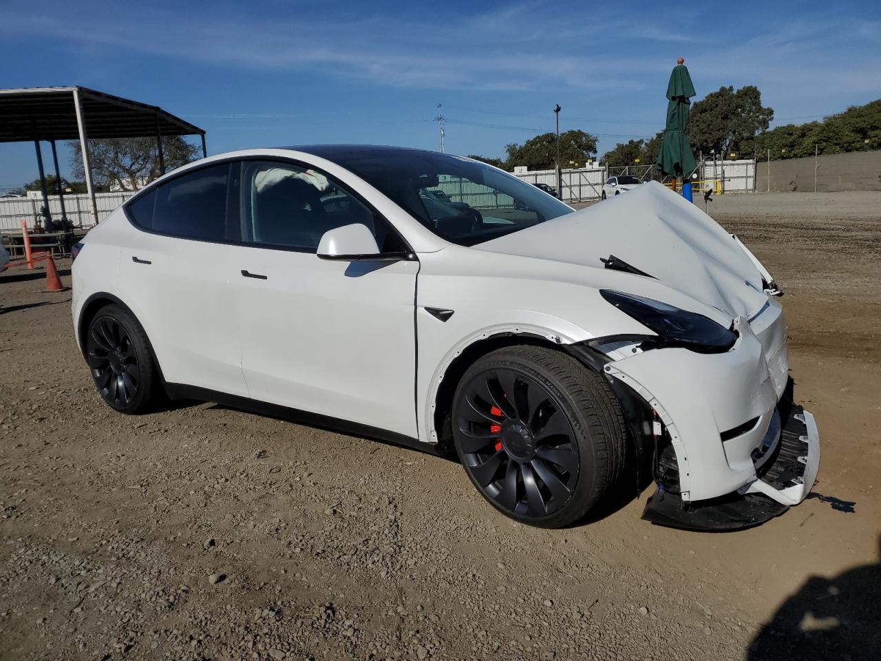 2024 TESLA MODEL Y  VIN:7SAYGDEF1RF053746