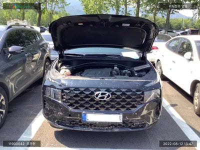 2021 Hyundai Santa FE KMHS581LGMU378244 VIN:KMHS581LGMU378244