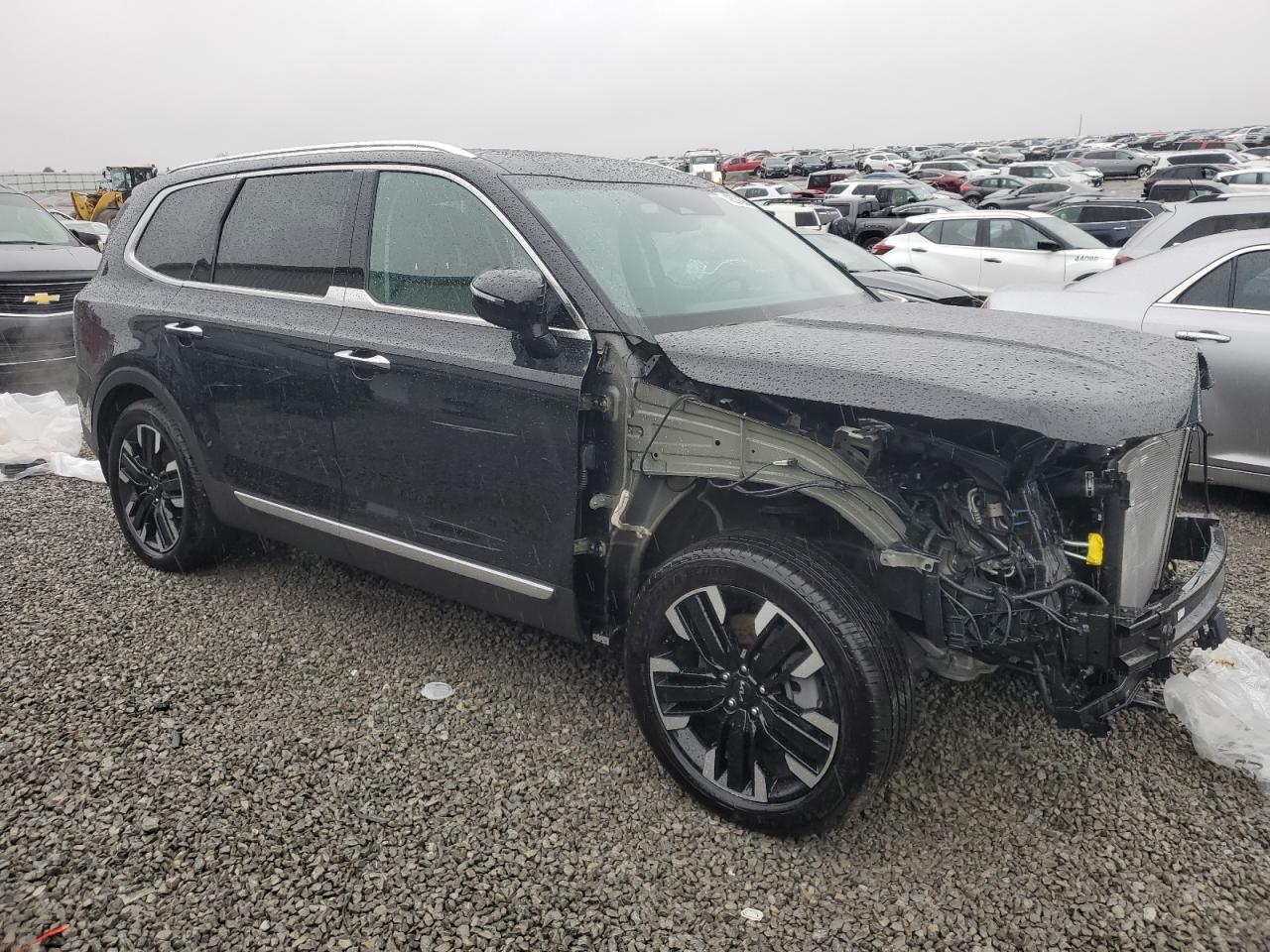 2024 KIA TELLURIDE SX VIN:5XYP5DGC1RG507245