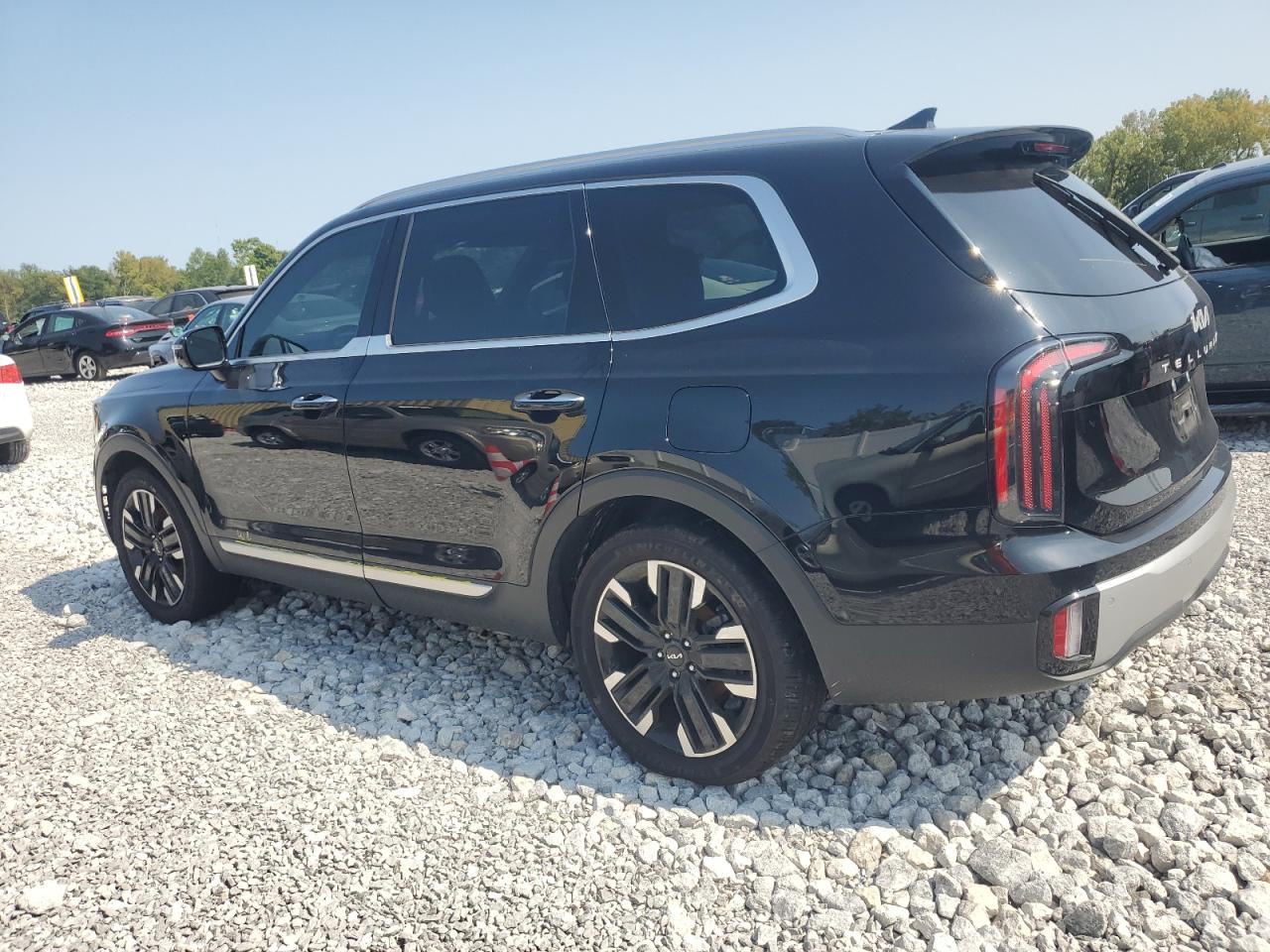 2024 KIA TELLURIDE SX VIN:5XYP5DGC6RG416438