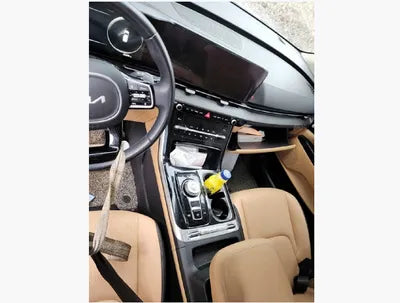 2022 Kia Carnival KNANE81BBNS170565 VIN:KNANE81BBNS170565
