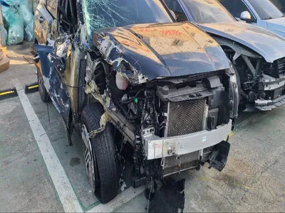 2021 Hyundai Santa FE KMHS281HGMU396979 VIN:KMHS281HGMU396979