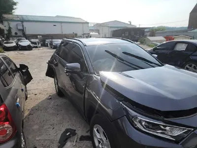 2019 Toyota RAV4 VIN: